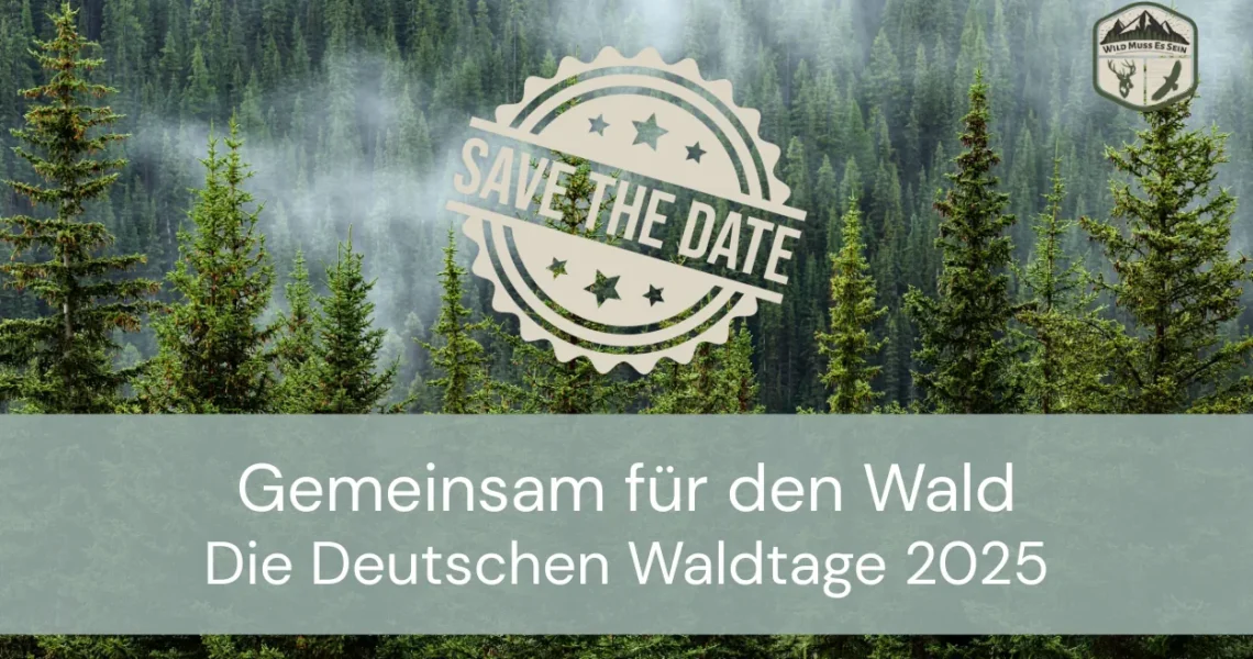 Gemeinsam fuer den Wald – Die Deutschen Waldtage 2025